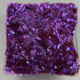 Purple Crush