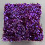 Purple Crush